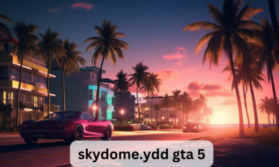 skydome.ydd gta 5