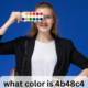 what color is 4b48c4