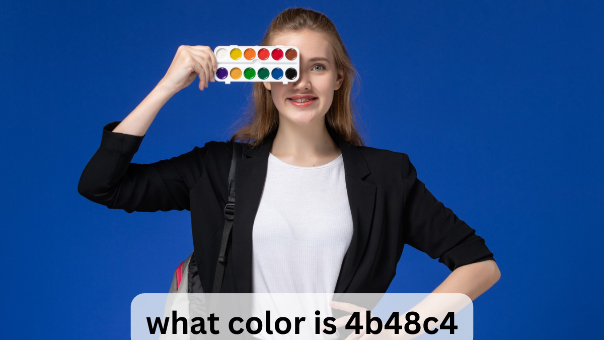 what color is 4b48c4