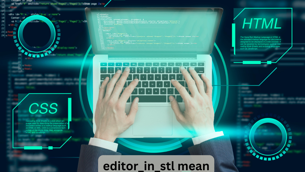 editor_in_stl mean