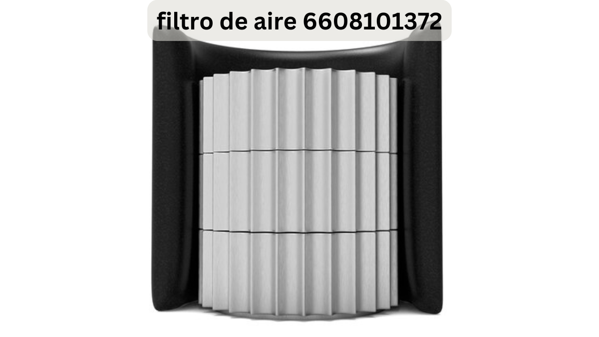 filtro de aire 6608101372