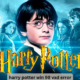 harry potter win 98 vxd error